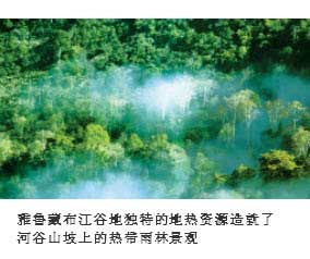 为什么雅鲁藏布江谷地有地热资源？