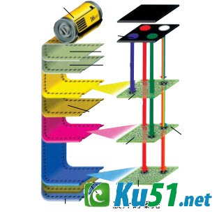 为什么彩色胶卷能拍出彩色照片?