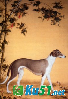 郎世宁对中国传统绘画有何影响?