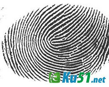 为什么每个人的指纹不一样？