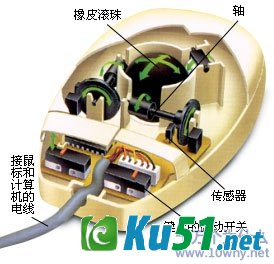 为什么要用鼠标?