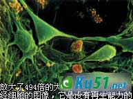 为什么人会衰老?