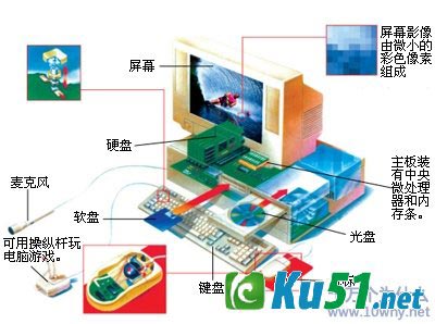 为什么计算机又称电脑？