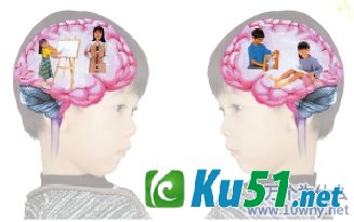 大脑2