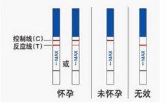 验孕棒怎么用_验孕棒正确使用_验孕棒一深一浅说明什么