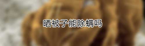 晒被子能除螨吗 被子晒多久可以杀死螨虫