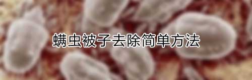 螨虫被子怎么去除简单方法