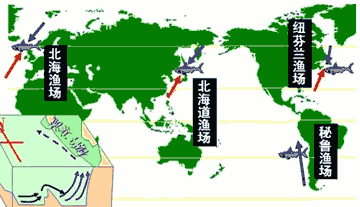 世界四大渔场是指那些？分布在哪些国家